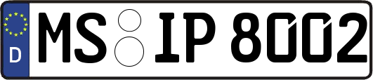 MS-IP8002