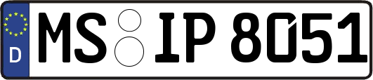 MS-IP8051