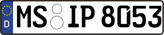 MS-IP8053