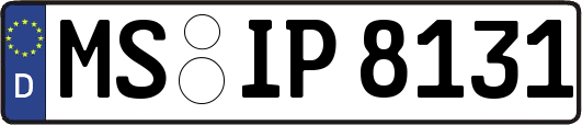 MS-IP8131