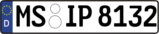 MS-IP8132