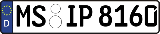 MS-IP8160