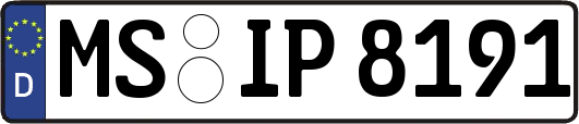 MS-IP8191