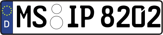 MS-IP8202