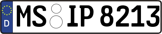 MS-IP8213
