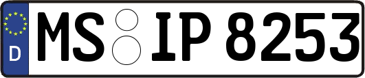 MS-IP8253