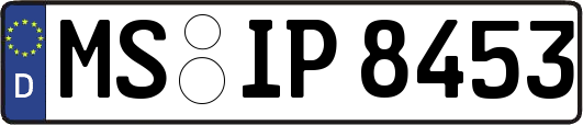 MS-IP8453