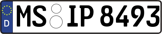 MS-IP8493