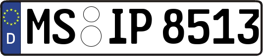 MS-IP8513