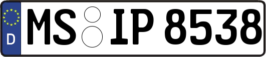 MS-IP8538