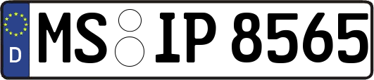 MS-IP8565