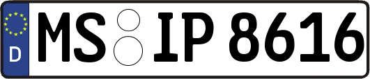MS-IP8616