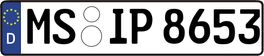 MS-IP8653