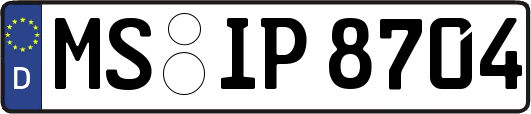 MS-IP8704