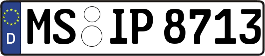 MS-IP8713