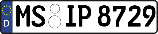 MS-IP8729