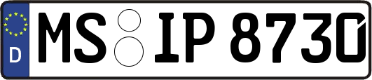 MS-IP8730