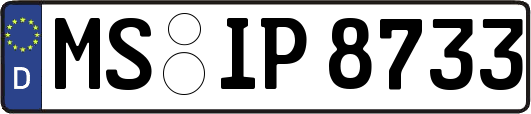 MS-IP8733
