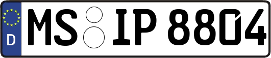 MS-IP8804