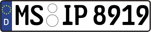 MS-IP8919