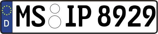 MS-IP8929
