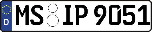 MS-IP9051