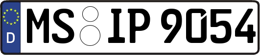 MS-IP9054