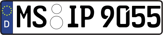 MS-IP9055