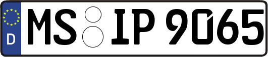MS-IP9065