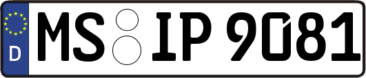 MS-IP9081