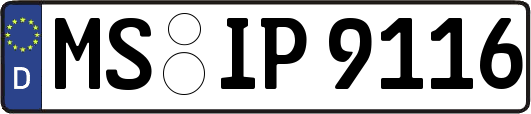 MS-IP9116