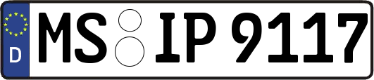 MS-IP9117