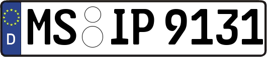MS-IP9131