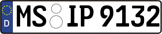 MS-IP9132