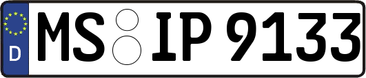 MS-IP9133