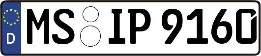 MS-IP9160
