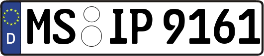 MS-IP9161