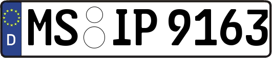 MS-IP9163