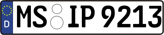 MS-IP9213