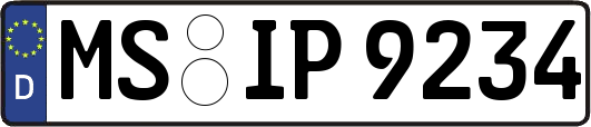 MS-IP9234