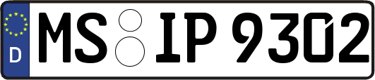 MS-IP9302