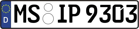 MS-IP9303