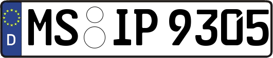 MS-IP9305