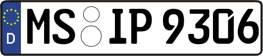MS-IP9306