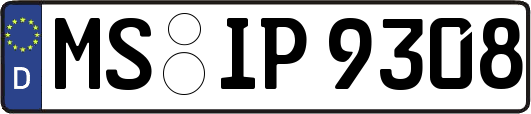 MS-IP9308