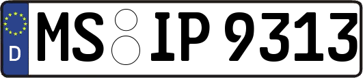 MS-IP9313