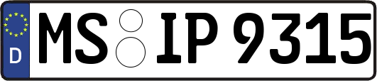 MS-IP9315