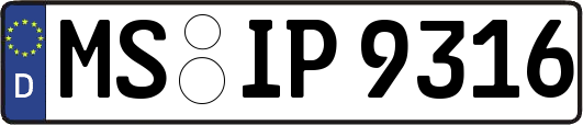 MS-IP9316