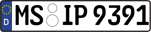 MS-IP9391