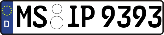 MS-IP9393